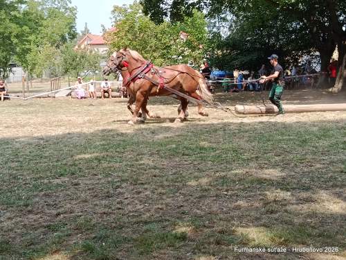 IMG_20260801_124607